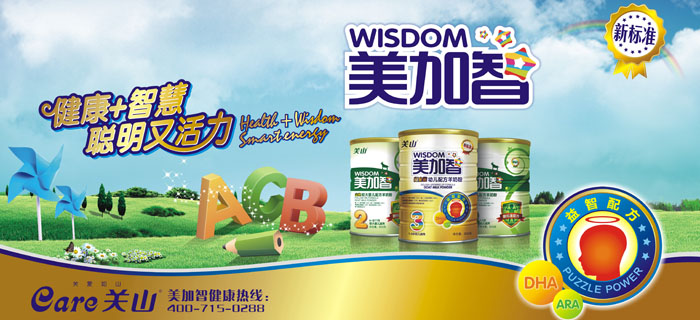 美加智