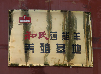 和氏莎能羊養(yǎng)殖基地