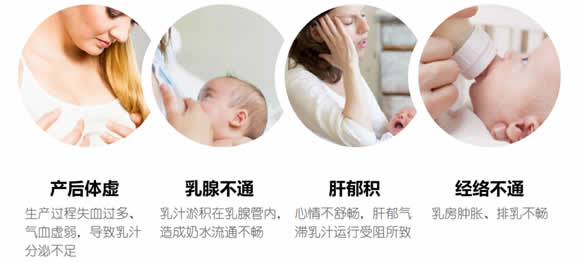 鑫琦.jpg