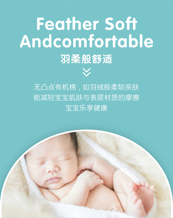 愛丁寶貝山茶油拉拉褲7.jpg