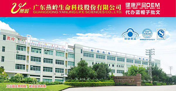 廣東燕嶺生命.jpg