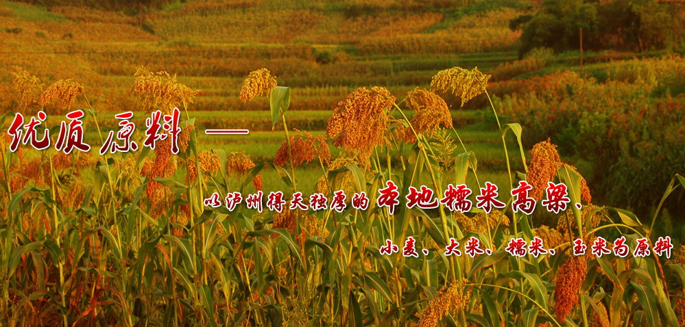 ɽ(zhn)԰l(f)ĸl(f)չՓF(xin)