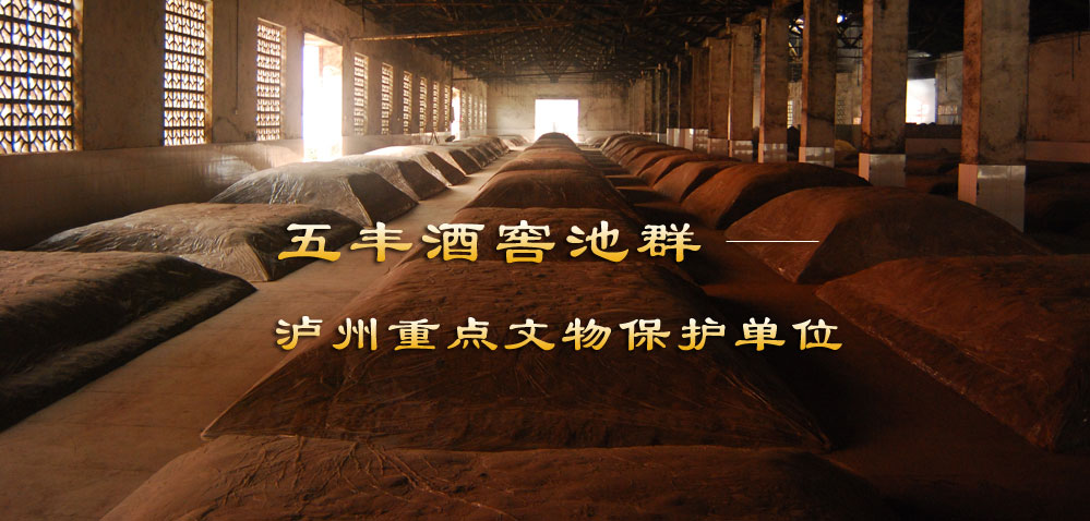 ɽ(zhn)԰l(f)ĸl(f)չՓF(xin)